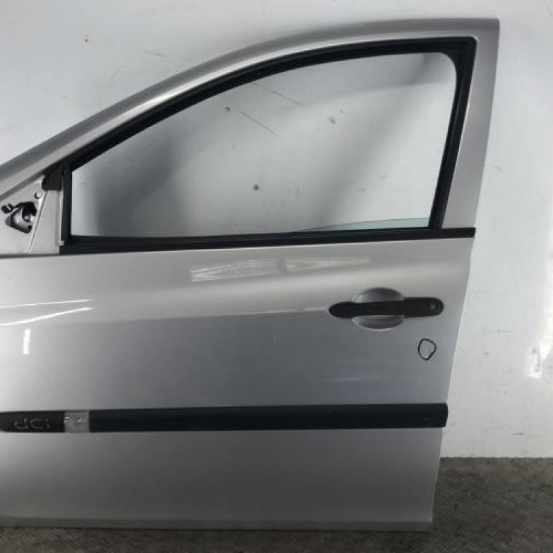 Porte avant gauche RENAULT CLIO 3