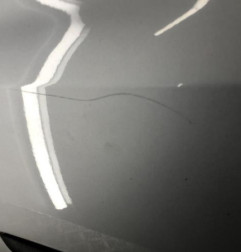 Porte avant gauche RENAULT CLIO 3 Photo n°7