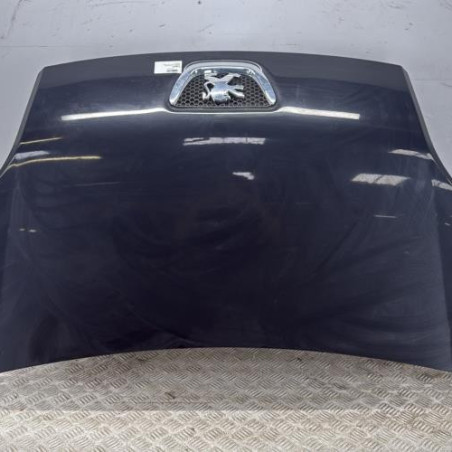 Capot PEUGEOT BIPPER Photo n°1