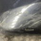Pare choc avant PEUGEOT 807