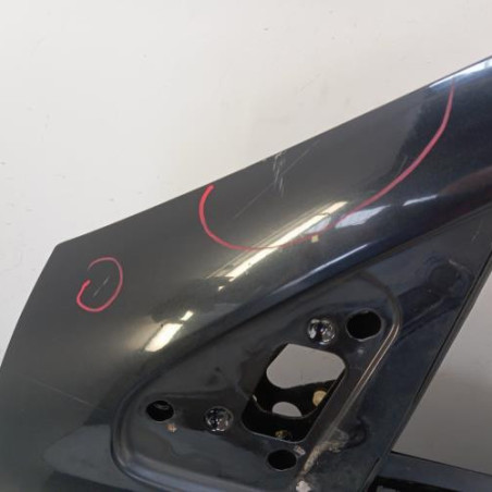 Porte avant gauche RENAULT CLIO 2