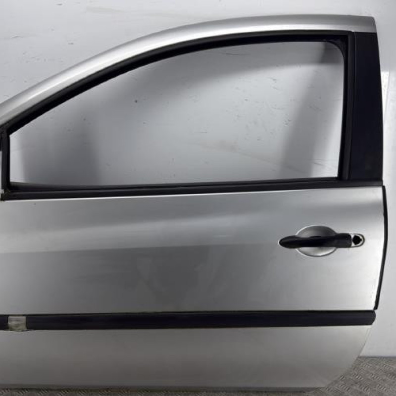 Porte avant gauche RENAULT CLIO 3
