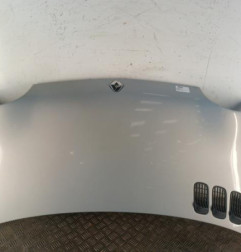 Capot RENAULT TWINGO 1 Photo n°1