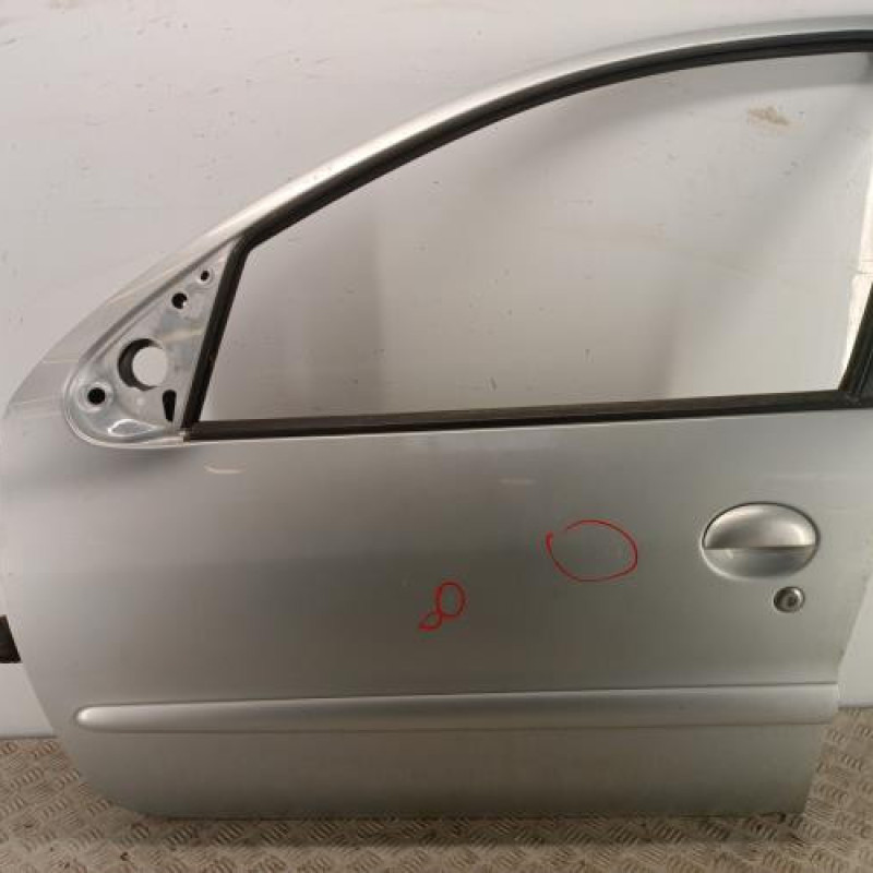 Porte avant gauche PEUGEOT 206