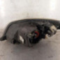 Optique avant principal droit (feux)(phare) SKODA FABIA 2