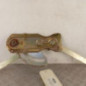 Leve vitre mecanique avant gauche CITROEN C15