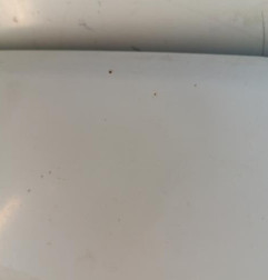 Capot FORD TRANSIT CUSTOM Photo n°4