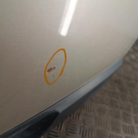 Malle/Hayon arriere RENAULT SCENIC 2
