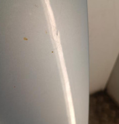 Capot CITROEN SAXO Photo n°4