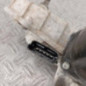 Moteur essuie glace avant droit RENAULT GRAND SCENIC 3
