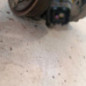 Compresseur clim CITROEN C4 1