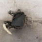 Bloc ABS (freins anti-blocage) RENAULT TWINGO 3