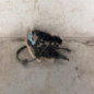 Serrure avant droit VOLKSWAGEN GOLF 5