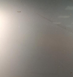 Porte avant gauche MERCEDES CLASSE C 203 Photo n°6