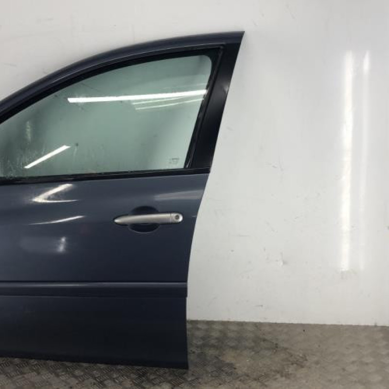Porte avant gauche RENAULT CLIO 3