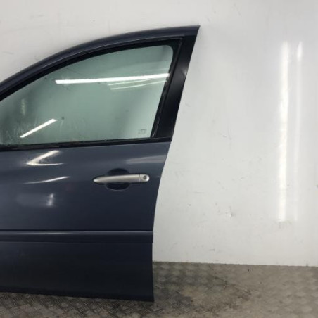 Porte avant gauche RENAULT CLIO 3 Photo n°1