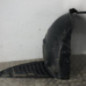 Pare boue avant droit PEUGEOT 407