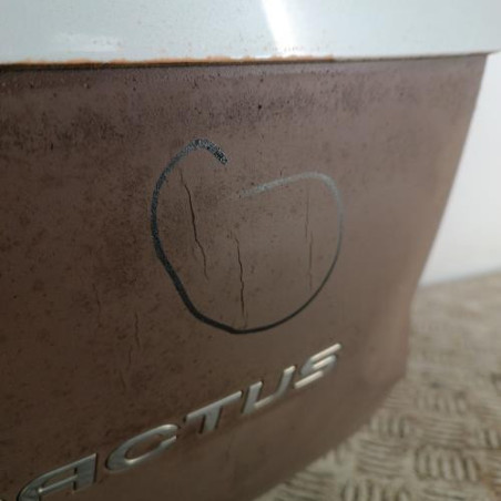 Malle/Hayon arriere CITROEN C4 CACTUS