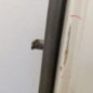 Porte de coffre droit RENAULT TRAFIC 2