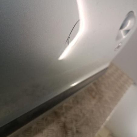 Porte avant gauche PEUGEOT 206