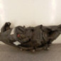 Optique avant principal droit (feux)(phare) OPEL ASTRA J