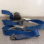 Ceinture avant gauche CITROEN BERLINGO 1