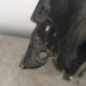 Pare choc arriere NISSAN QASHQAI 2