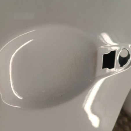 Porte avant gauche RENAULT ZOE 2