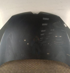 Capot RENAULT MEGANE 3 Photo n°1