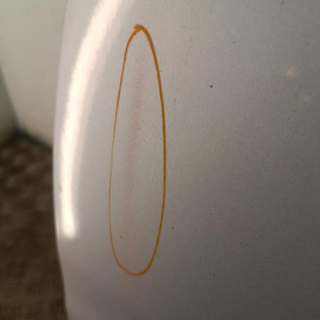 Porte avant gauche PEUGEOT 106