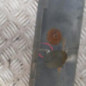 Pare choc arriere RENAULT MASTER 2