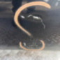 Porte arriere gauche FORD RANGER 3