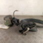 Ceinture avant droit CITROEN JUMPY 2