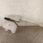 Vase de lave glace RENAULT MASTER 3