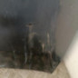 Pare choc avant PEUGEOT 5008 1