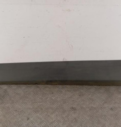 Baguette de porte avant gauche RENAULT GRAND SCENIC 3 Photo n°1