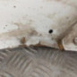 Aile avant gauche FIAT DUCATO 3