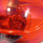 Feu arriere principal droit (feux) RENAULT CLIO 3