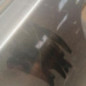 Pare choc arriere CITROEN C3 2