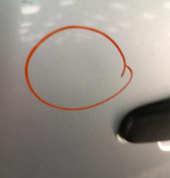 Porte arriere gauche CITROEN C3 1