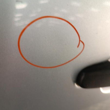 Porte arriere gauche CITROEN C3 1