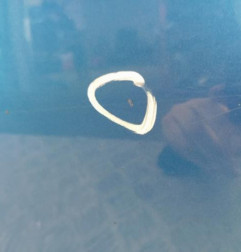 Porte arriere droit DACIA SANDERO 2 Photo n°5