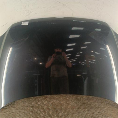 Capot VOLKSWAGEN FOX Photo n°1