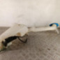 Vase de lave glace VOLKSWAGEN FOX