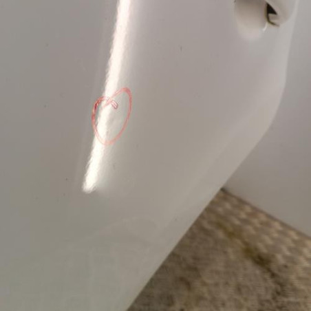 Porte arriere gauche CITROEN C3 2
