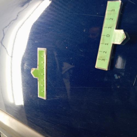 Porte arriere gauche PEUGEOT 207
