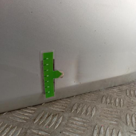 Porte avant droit RENAULT CLIO 3