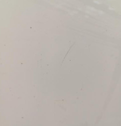 Porte arriere droit RENAULT CLIO 4
