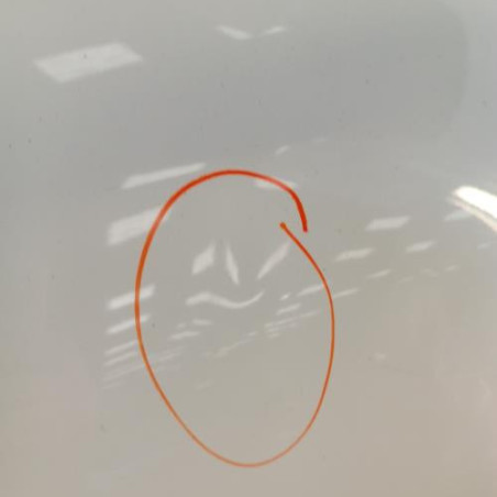 Porte arriere gauche RENAULT CLIO 4