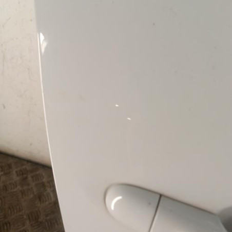 Porte avant droit RENAULT CLIO 4